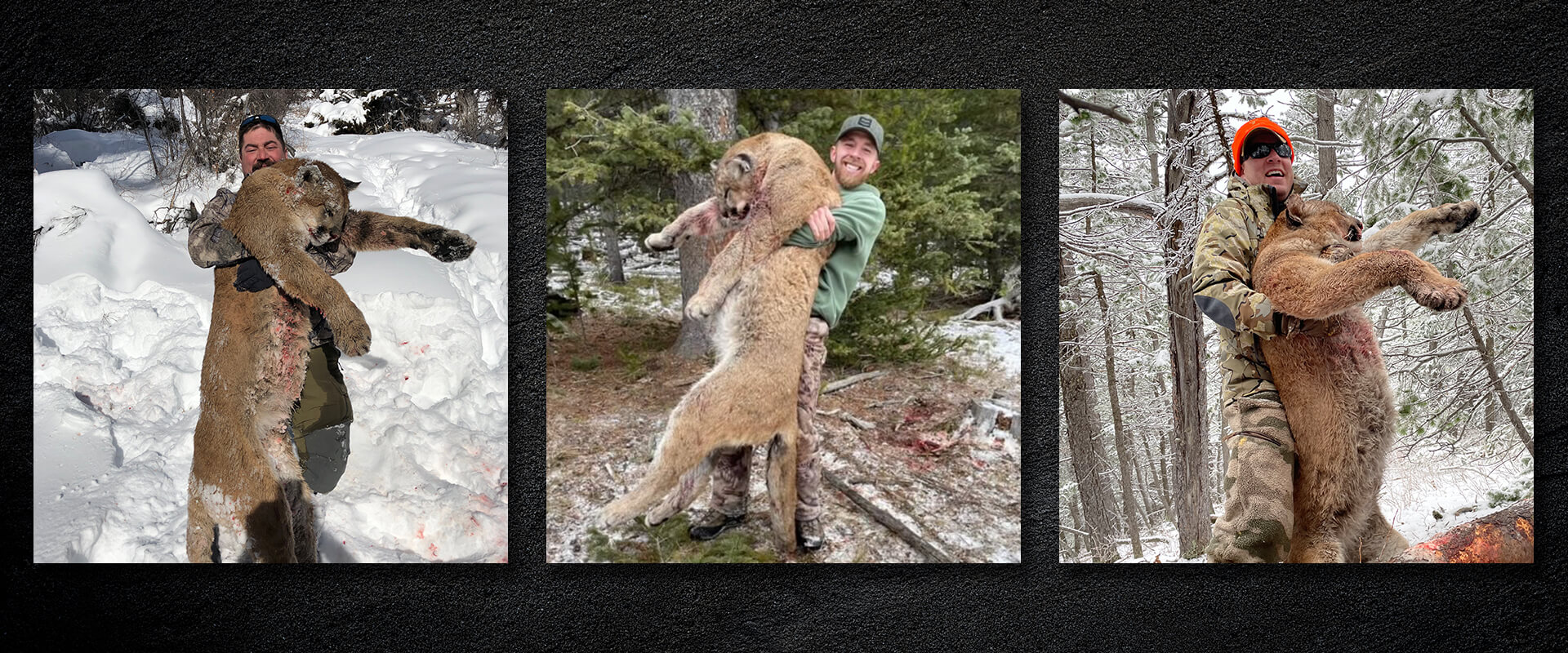 Rates & Packages Rates & Packages