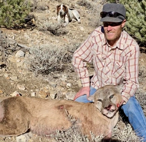 Nevada Mountain Lion Hunts – Year-Round Guided Cougar Hunts with Expert Houndsmen