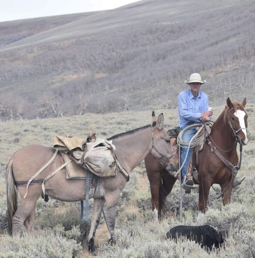Nevada Mountain Lion Hunts – Year-Round Guided Cougar Hunts with Expert Houndsmen